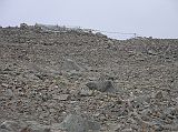 Tibet Kailash 09 Kora 06 Dolma La Ahead Here�s the final hill to climb to the D�lma La (5630m), a wide and rocky pass that is festooned with an enormous number of prayer flags.